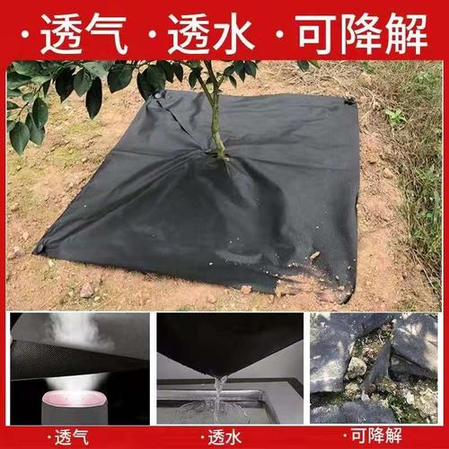 防草布的使用年限？