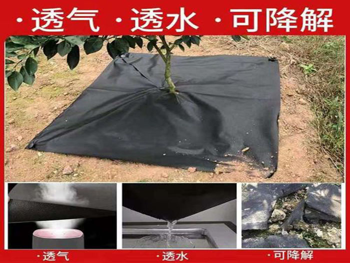 防草布好用么？