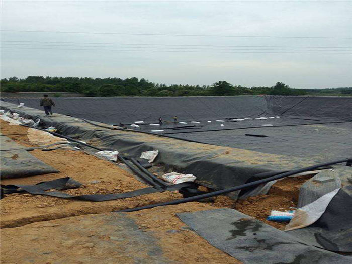 氧化塘黑膜多少錢?