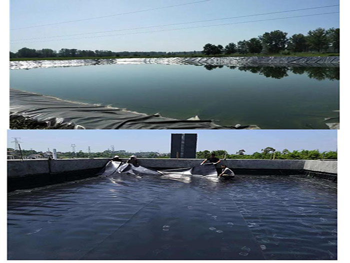 蝦池防滲膜用多厚的?