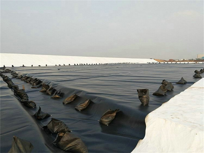 工業(yè)廢水池防滲HDPE土工膜